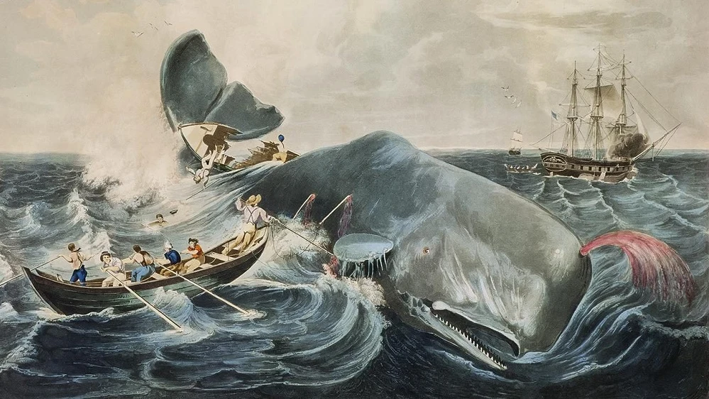 En este momento estás viendo Moby-Dick – Herman Melville